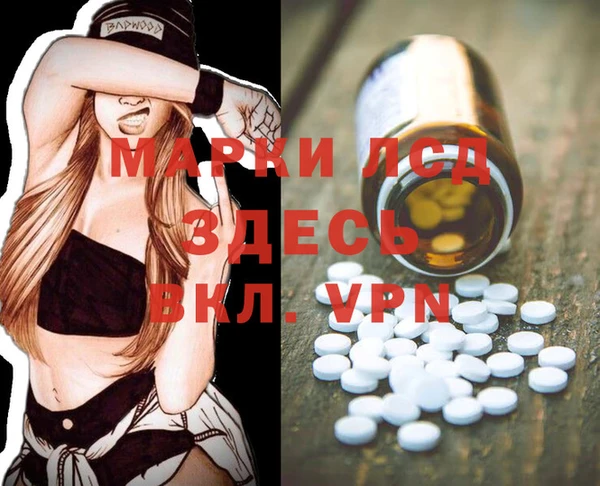 ГАЛЛЮЦИНОГЕННЫЕ ГРИБЫ Алексеевка