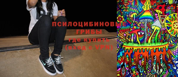 ГАЛЛЮЦИНОГЕННЫЕ ГРИБЫ Алексеевка