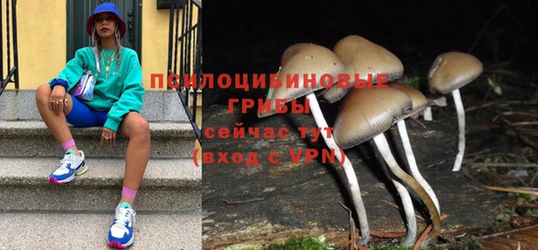 прущие грибы Алексин