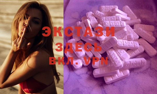 ECSTASY Алзамай