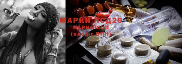 ECSTASY Алзамай