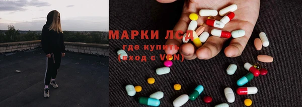 прущие грибы Алексин