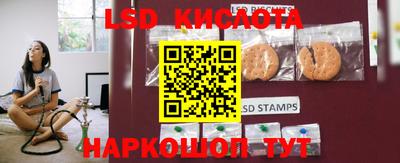 стафф Краснознаменск