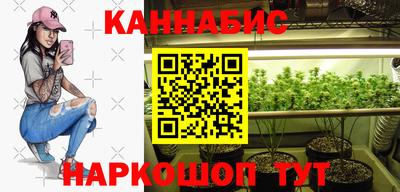 стафф Краснознаменск