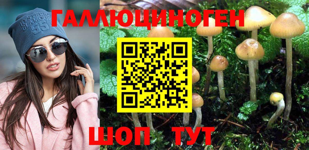 Галлюциногенные грибы Psilocybine cubensis Еманжелинск