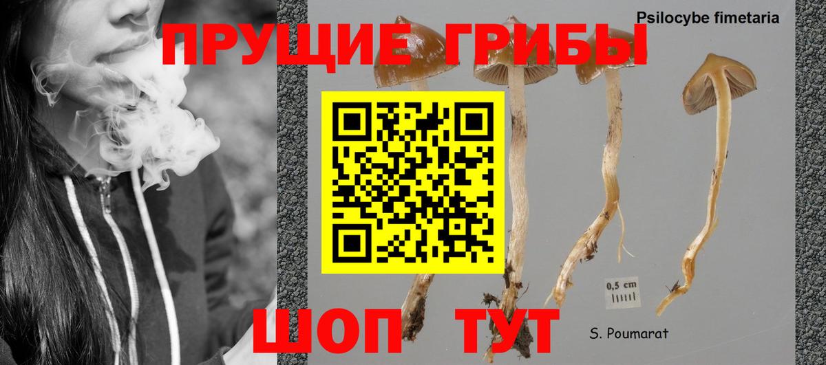 Кокаин  Альфа ПВП СК   Канабис  Еманжелинск  ГАШ  Мефедрон  Вход с VPN  Мефедрон кристаллы 
